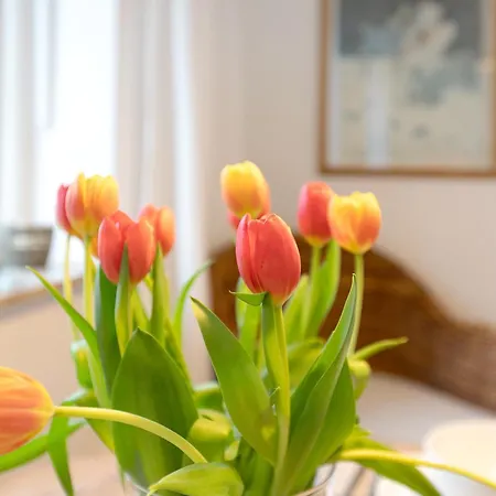 Appartement Luettdeel à Gelting Extérieur photo