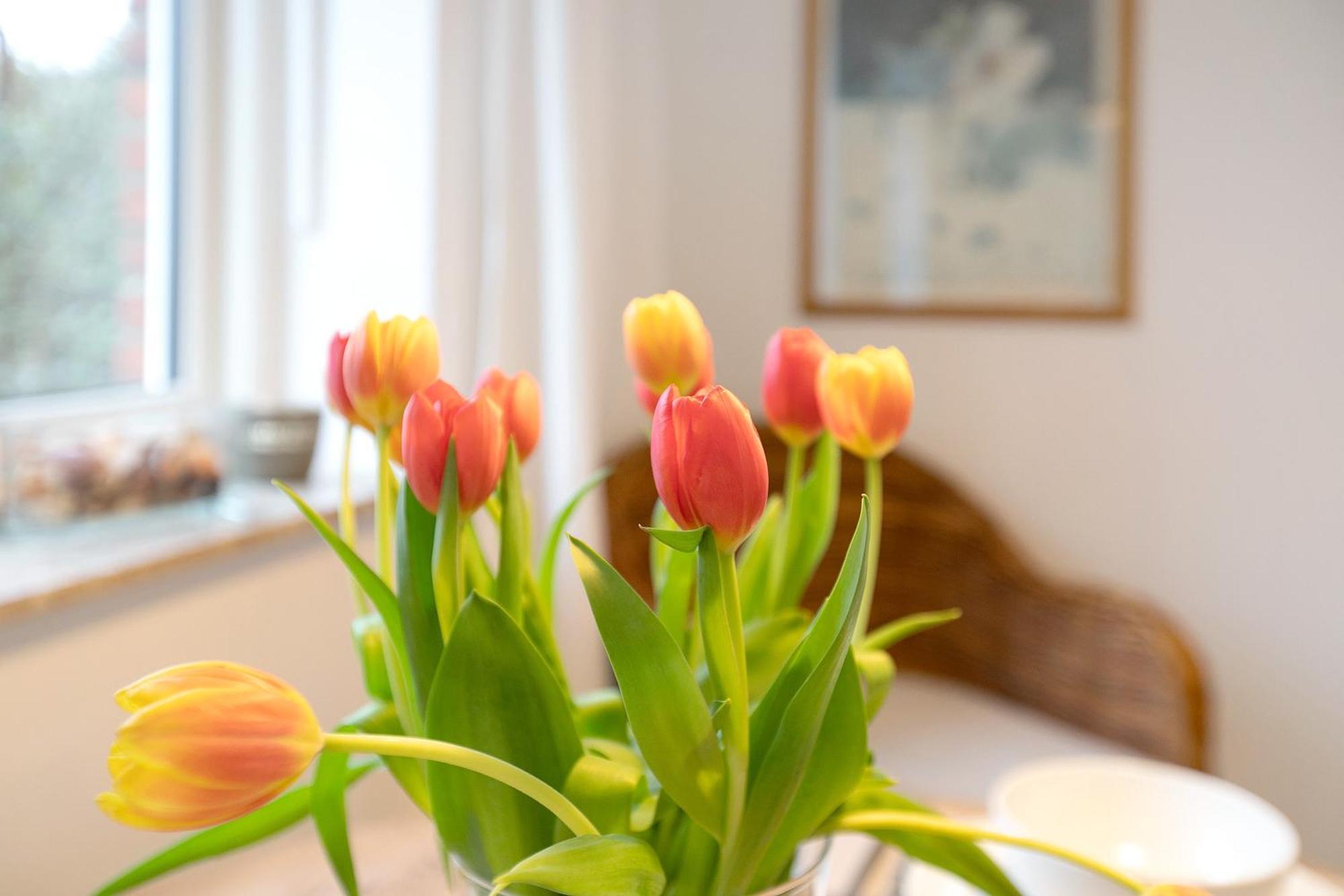 Apartment Luettdeel Gelting